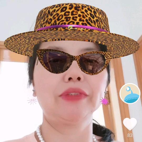 梦想成真2