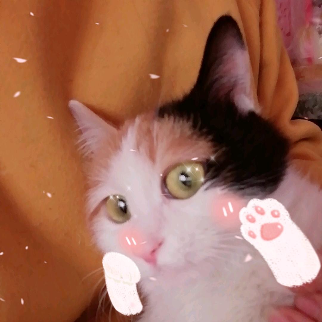 你家漠瀚