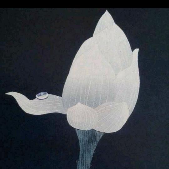 松雪老师教写字