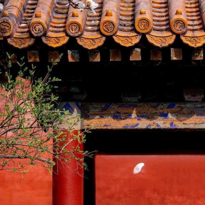 余上设计全案装饰