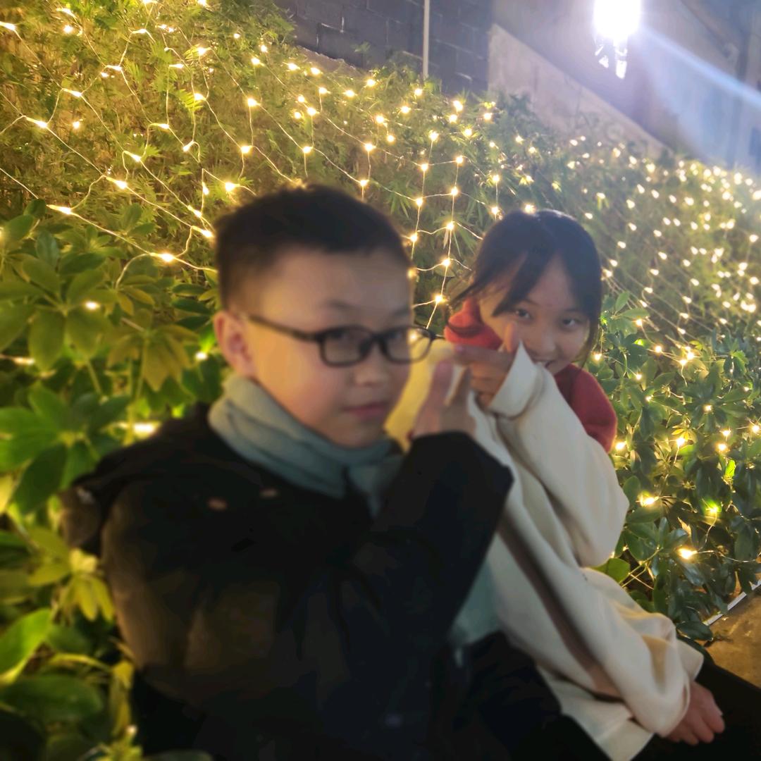 飞翔图文