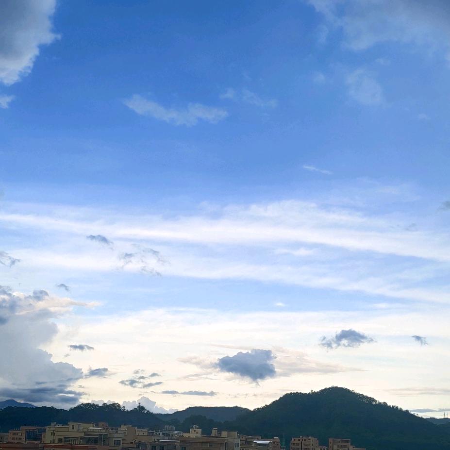 鲤鱼