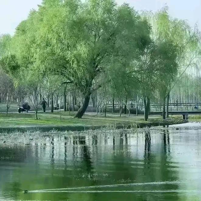 海英服装(●'◡'●)