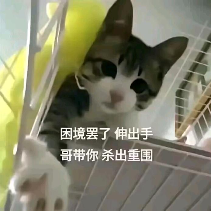 阿娟-逆水寒手游