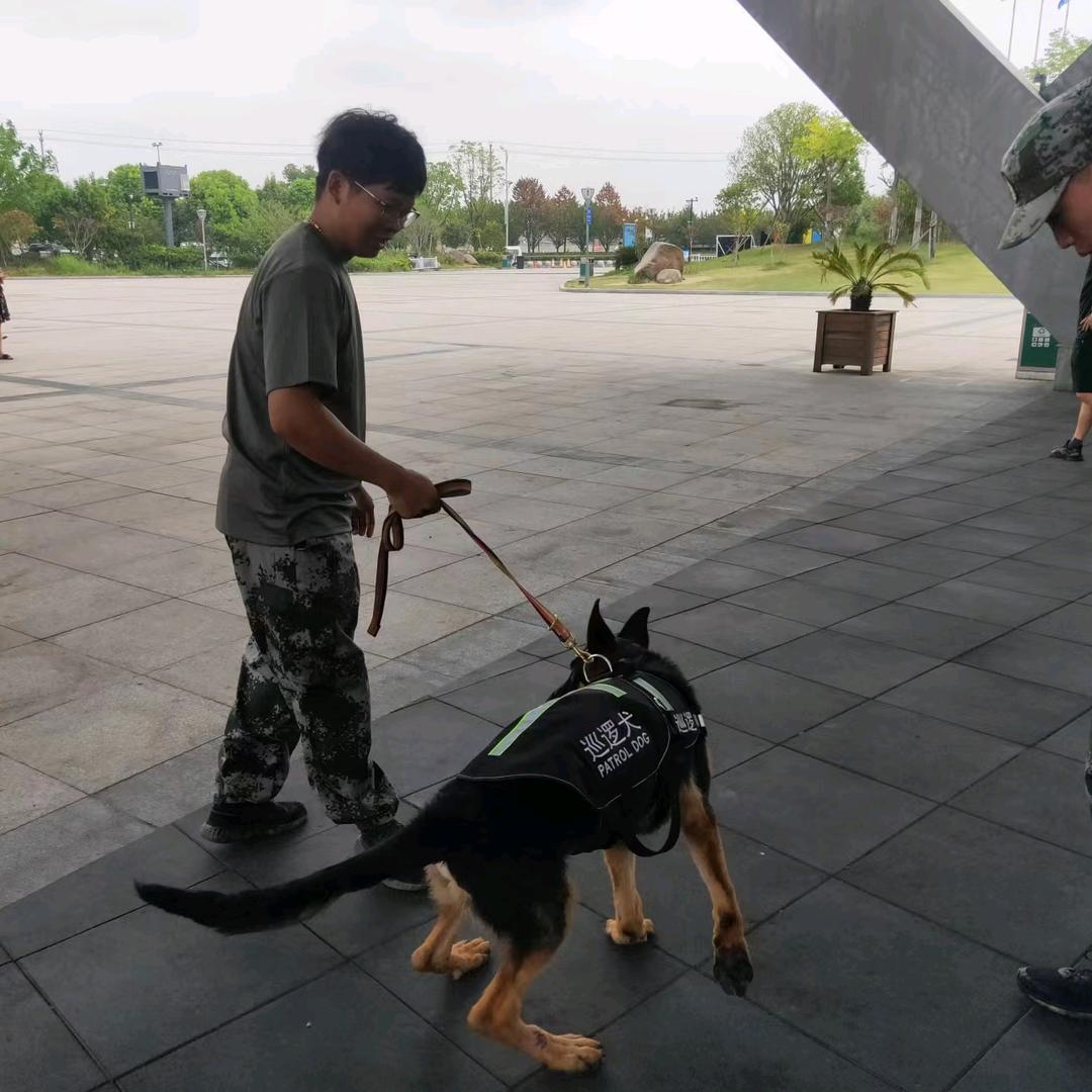 🇨🇳退役🇨🇳我姓赵～找你的赵