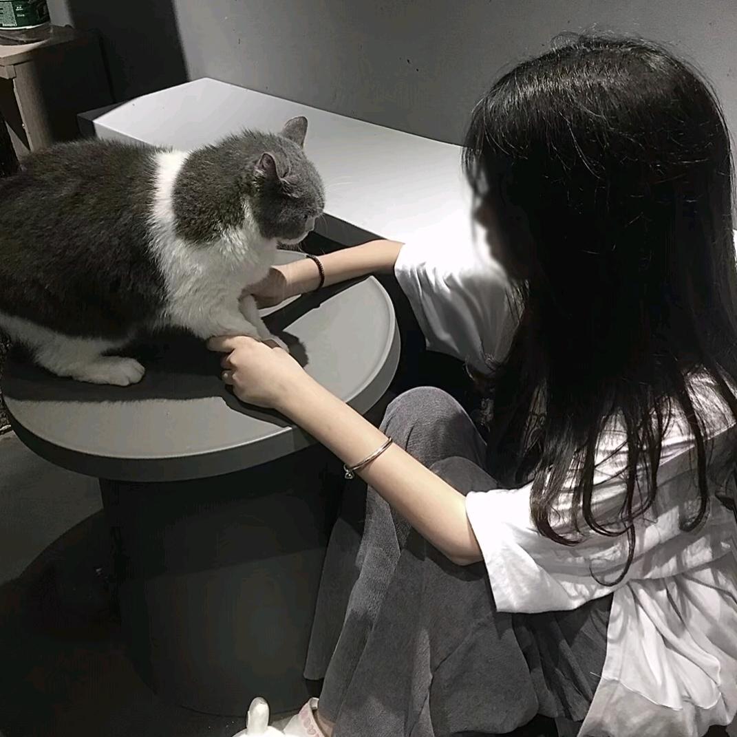 简7