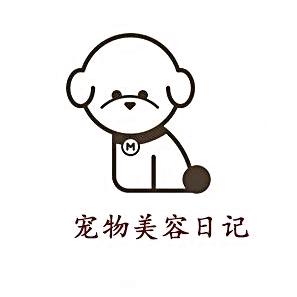 宠物美容日记