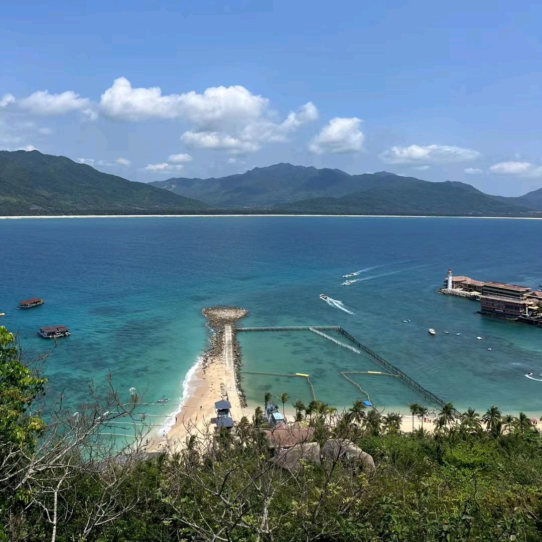 飞羽_