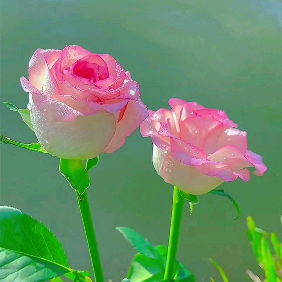 琳儿🍒