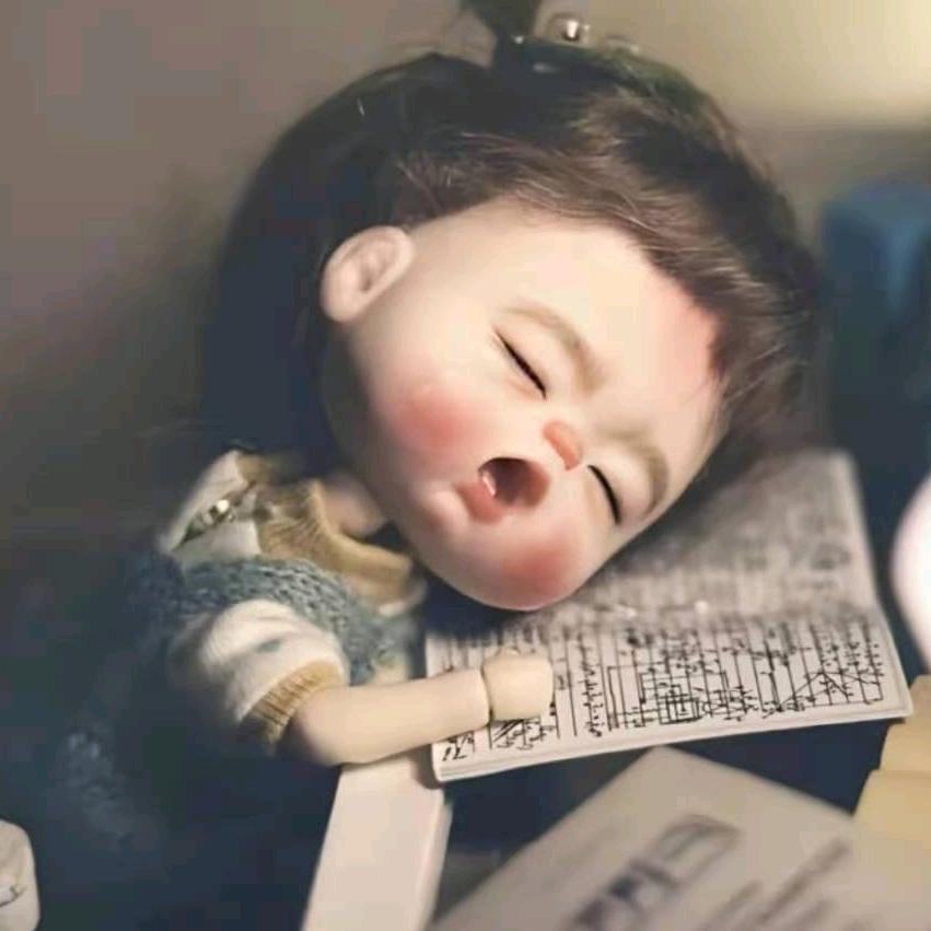 樺小姐