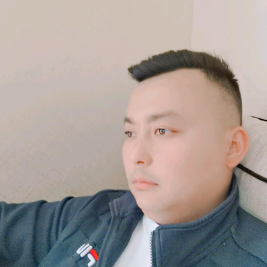 伟强（专业土石方开挖运输）