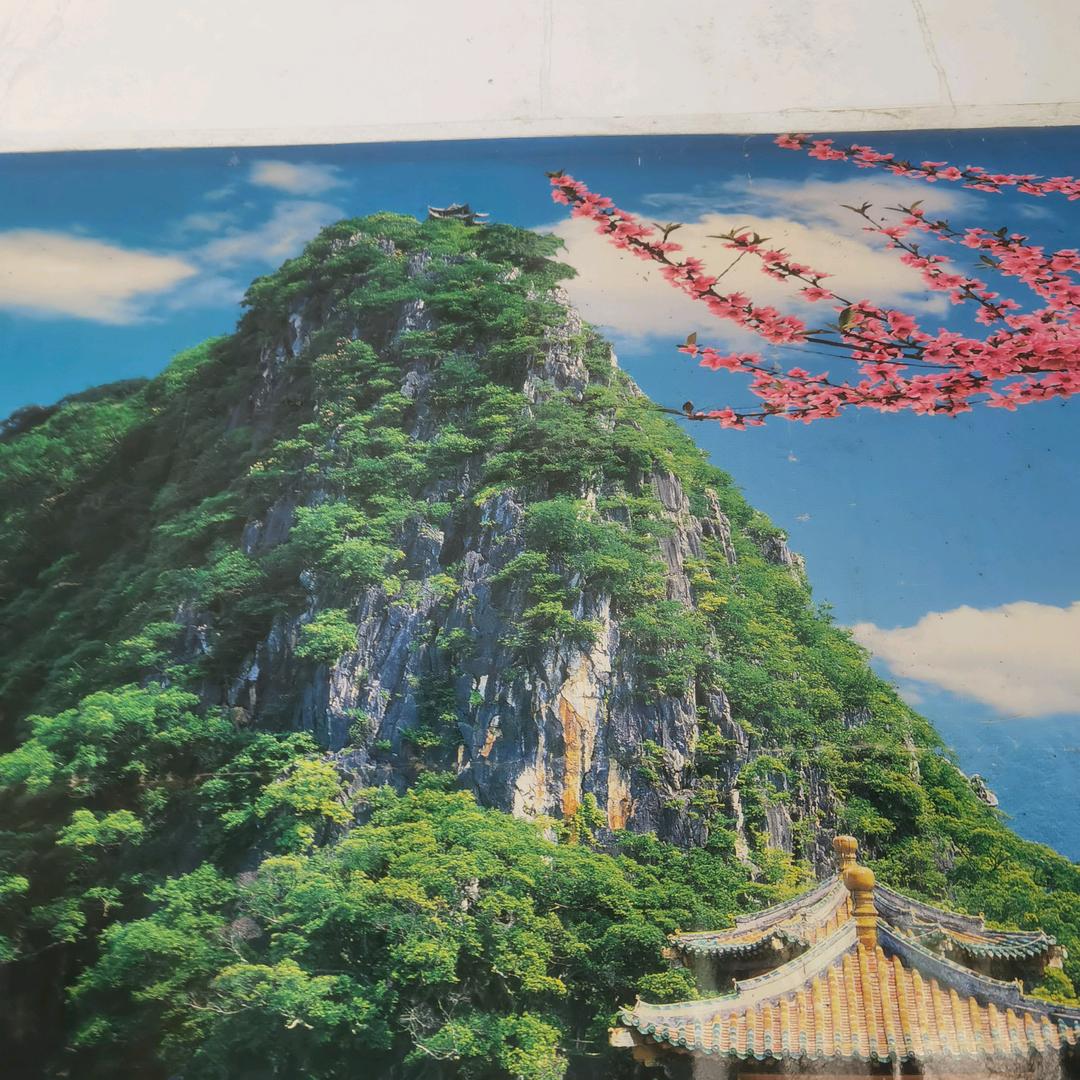 巩家二娃子