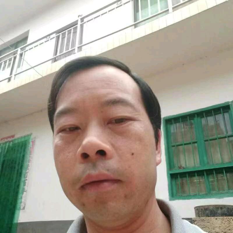 方乾树