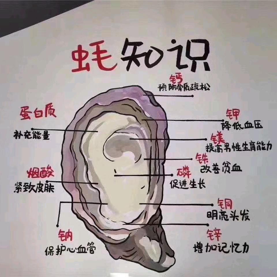 蚝兄弟水产