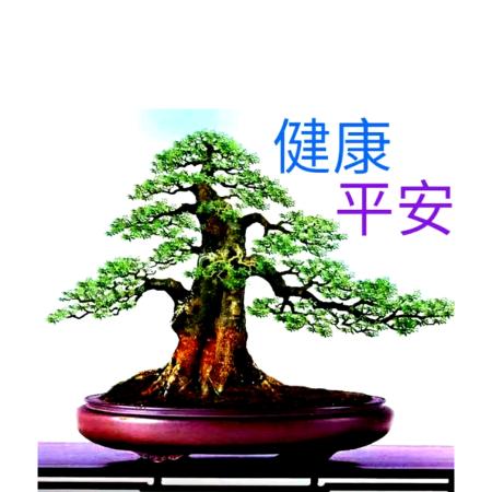 善良妈妈❤🍀