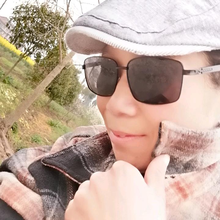 赵自强