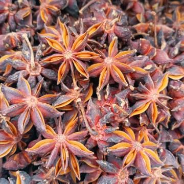 阿端，螺蛳粉技术免费培训