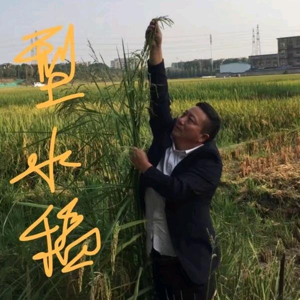 丰硕农业杨子江