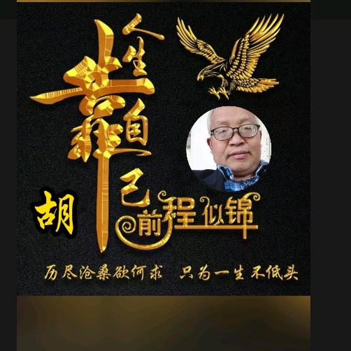 悲欢自渡