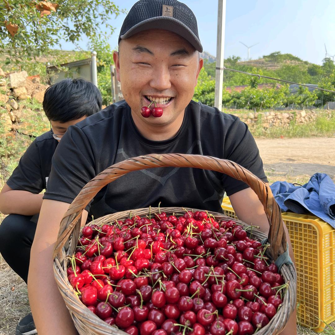 陌兮优选张坤