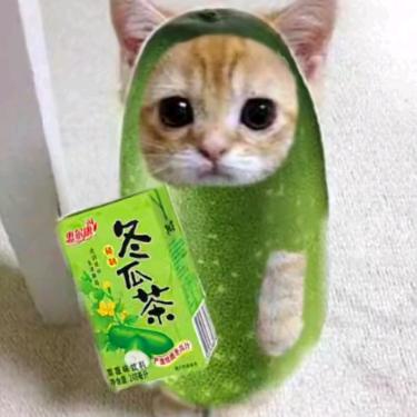 肉包睡不醒