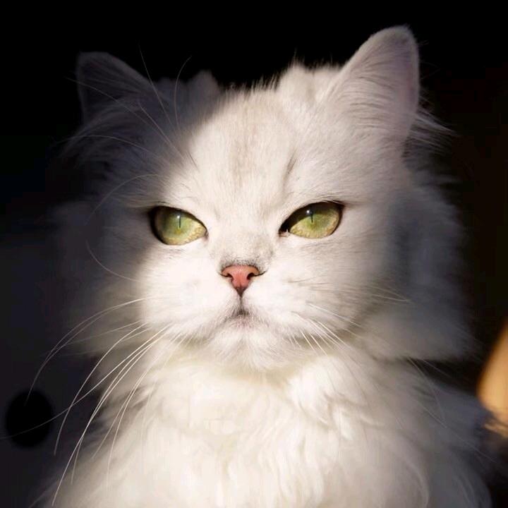 Yuè，