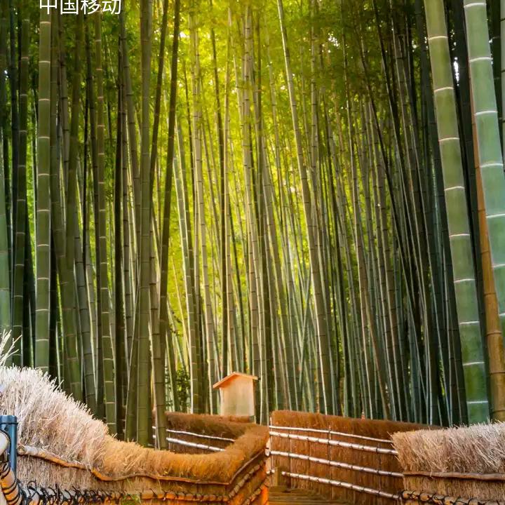 追求梦想