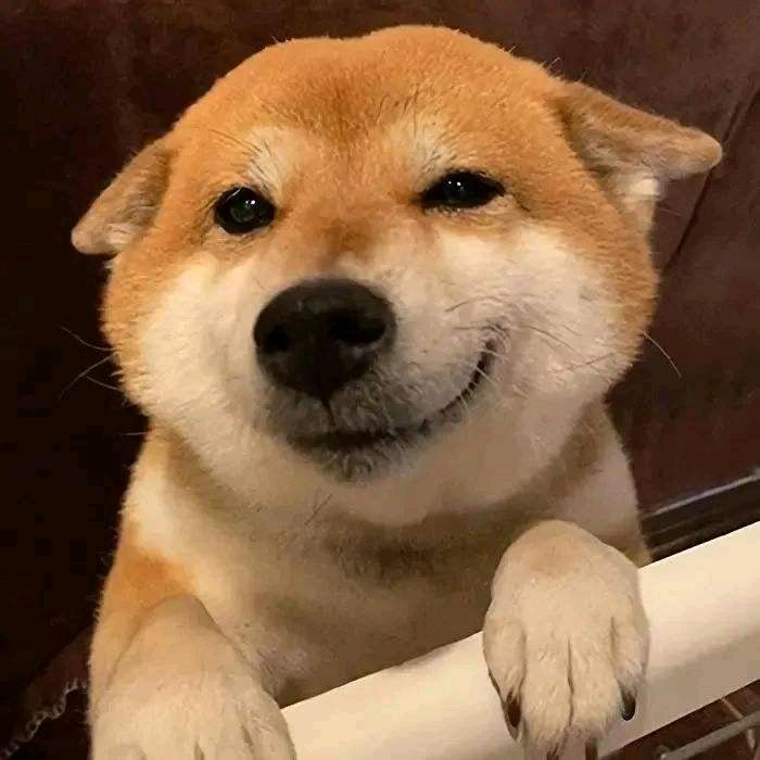火焰🔥