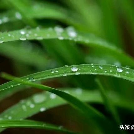 濛濛