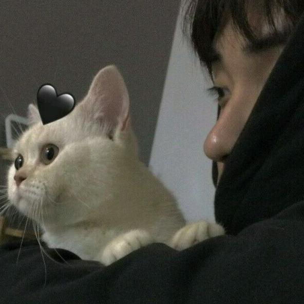 天神驾到