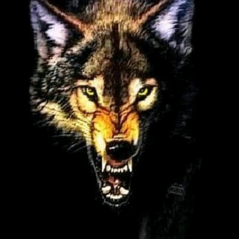 🌹🌹🌹勇哥🌺?