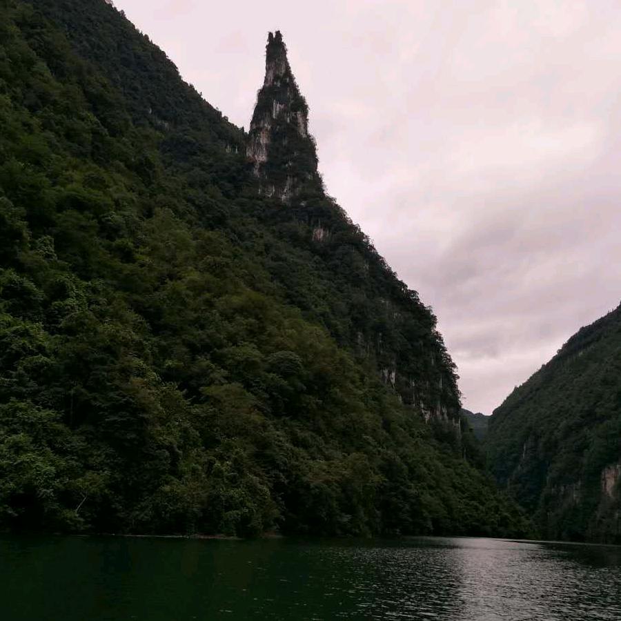 陈四