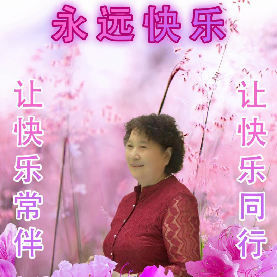 珍开鑫