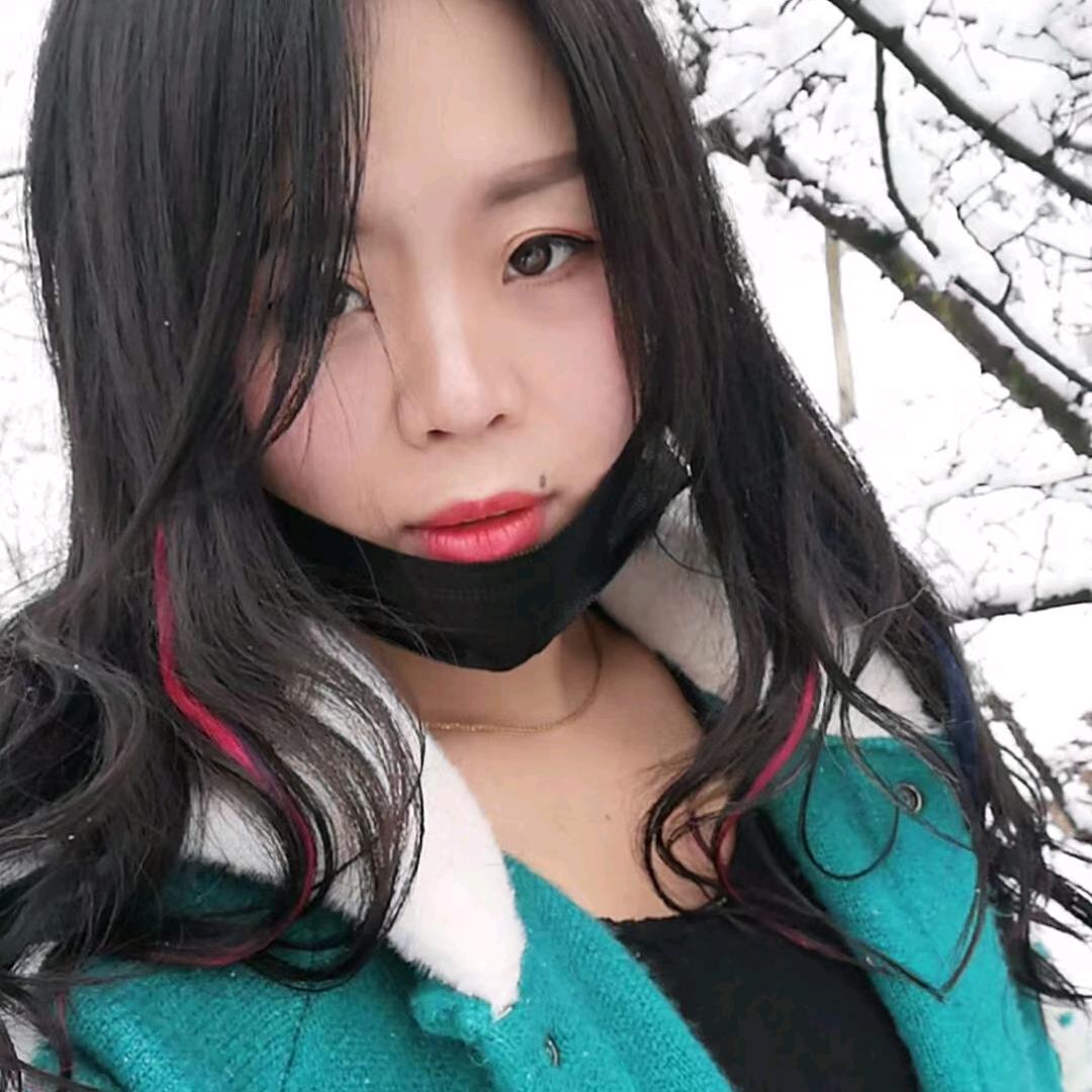 贵州燕子