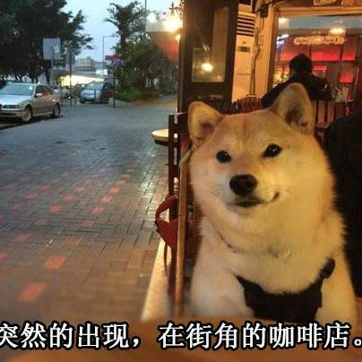 魔系小小汪