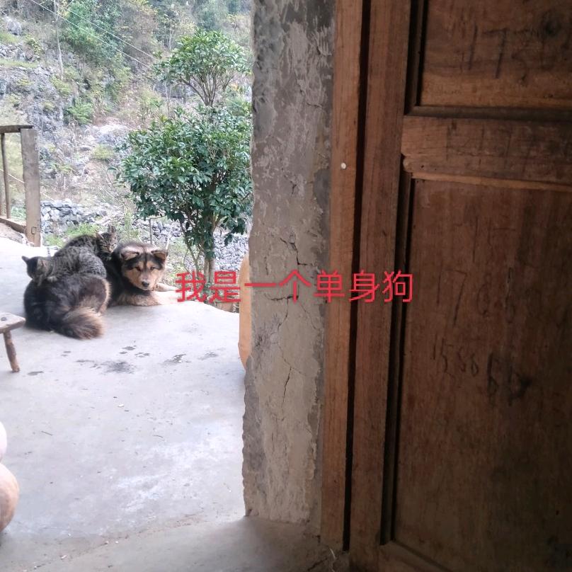 离婚的男人