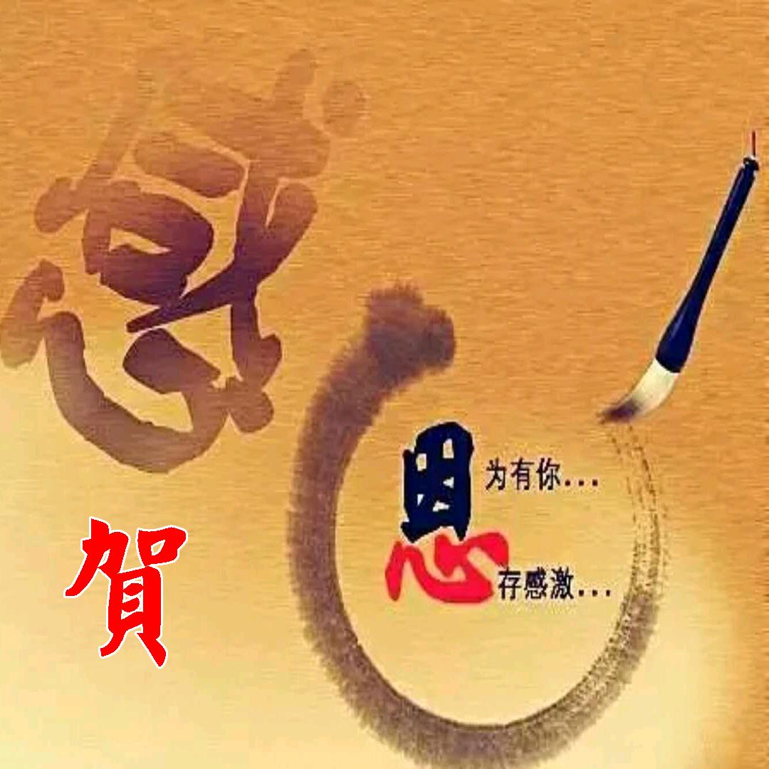 纶