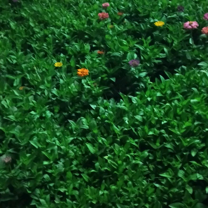 缘分