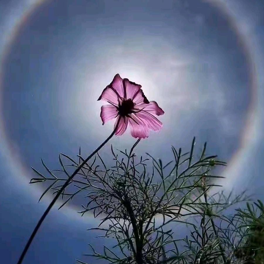 ￡ღ᭄ꦿ黎ℒℴ