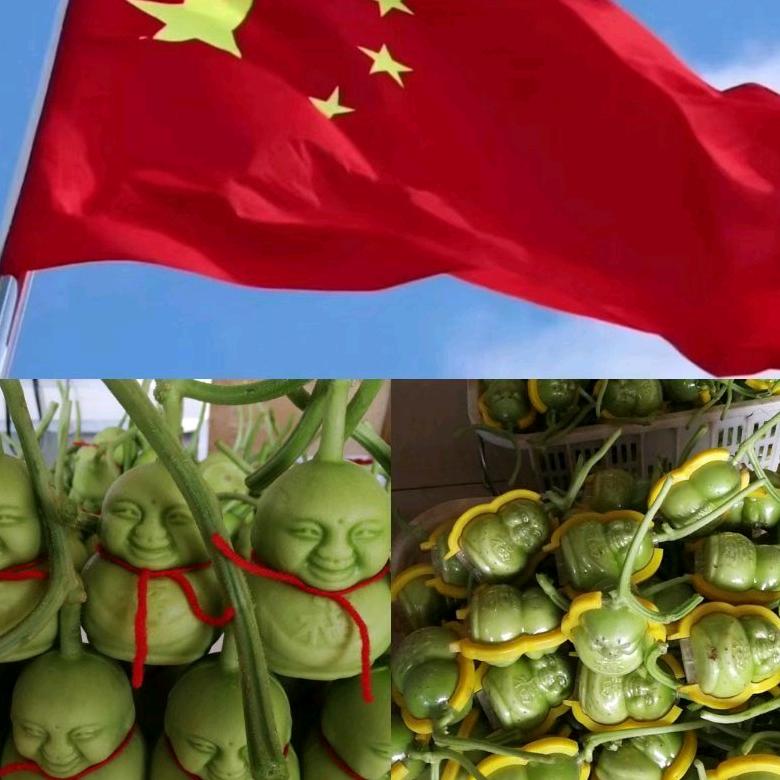 泓辰果业