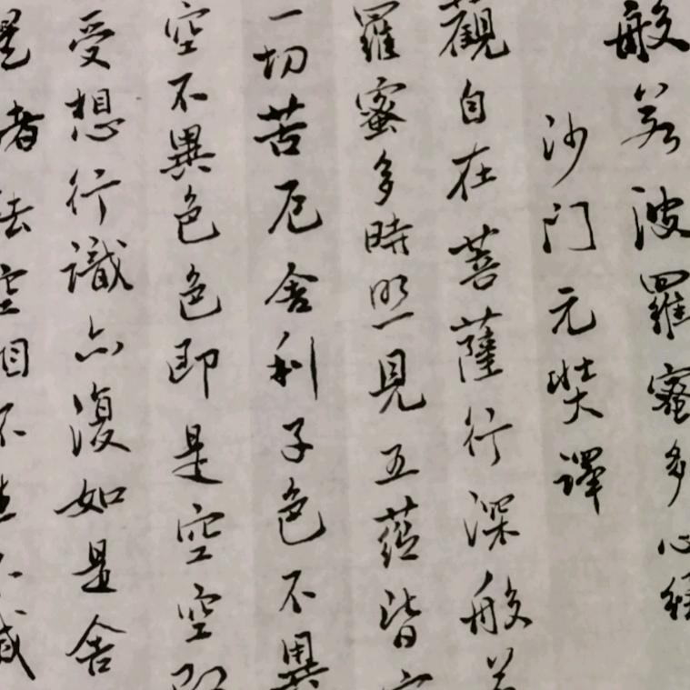 一片森林