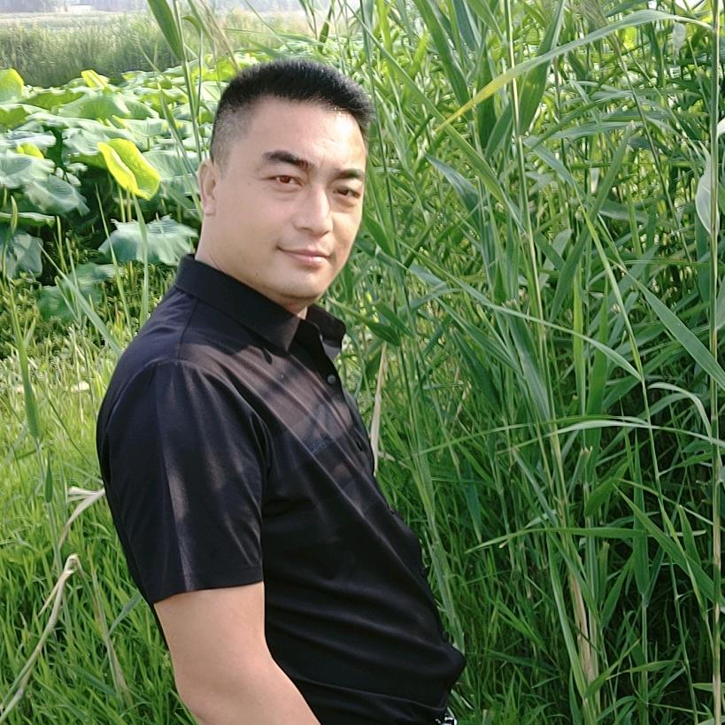 书剑