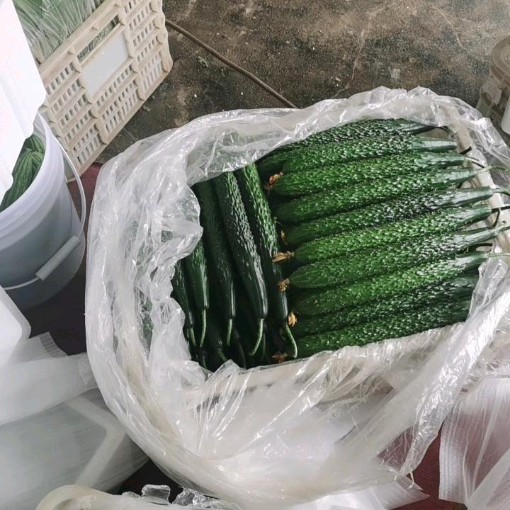 发易果蔬代收