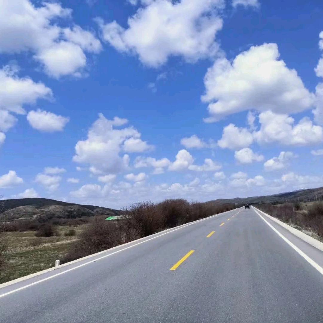 森小宝月子鸡（生态高山养殖）