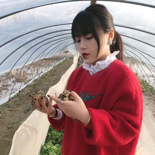 蟾蜍人@张丽