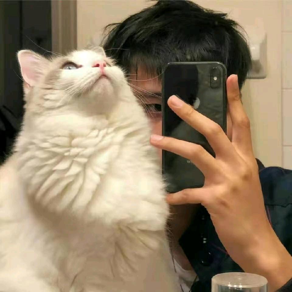 壹间文化传媒