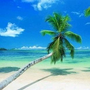 清风浪子