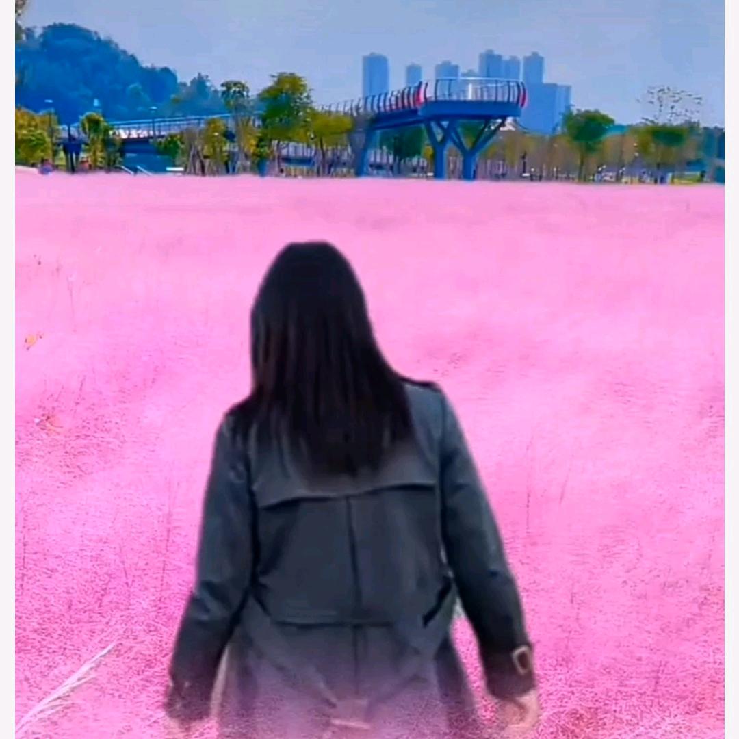 灿烂人生🌈