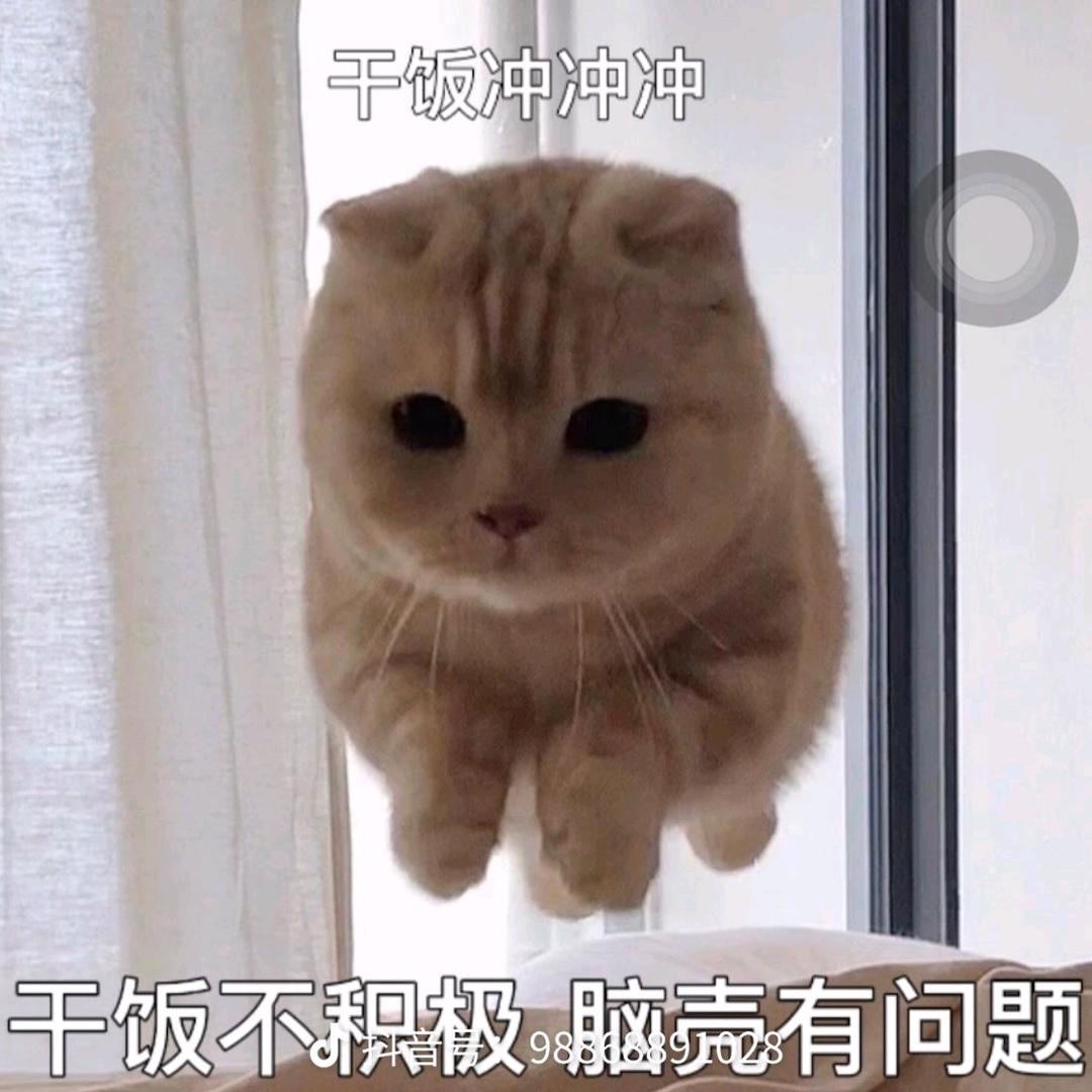 🌈ikun🌈