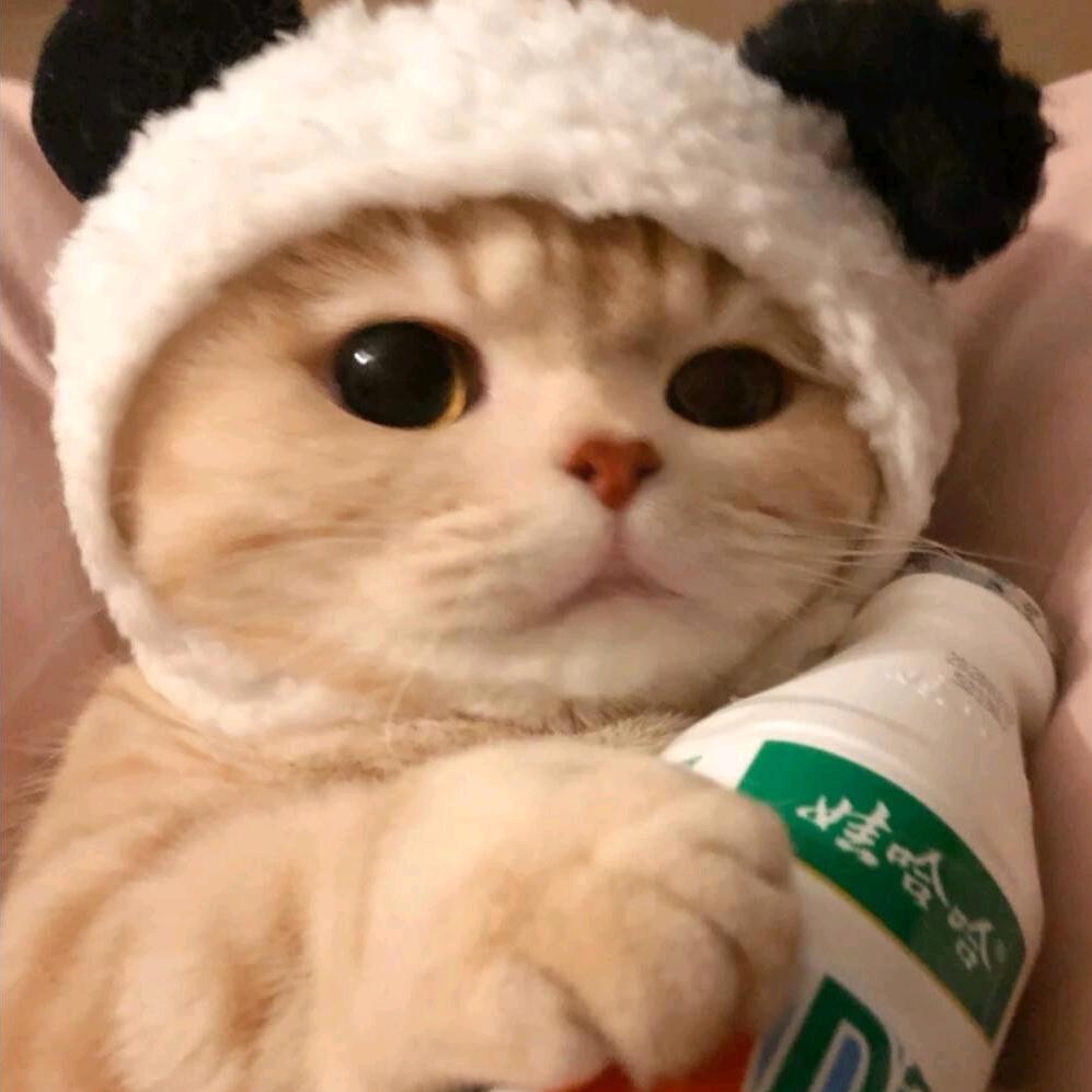 喵biu~